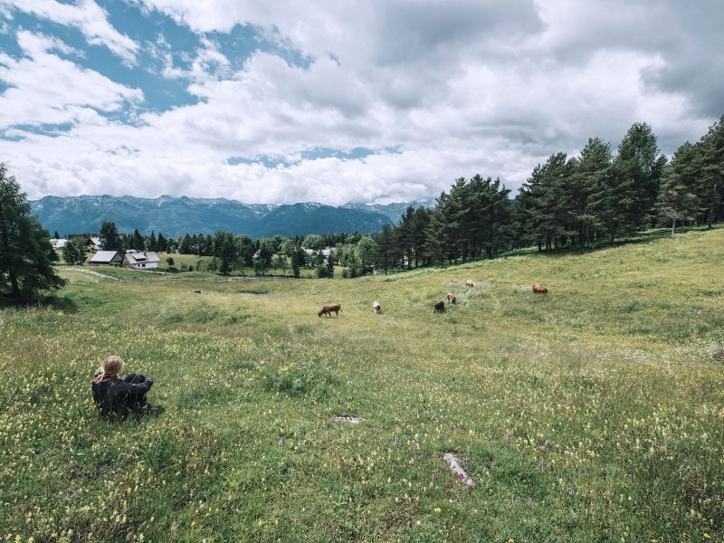 Salmon: Restaurant WordPress Theme