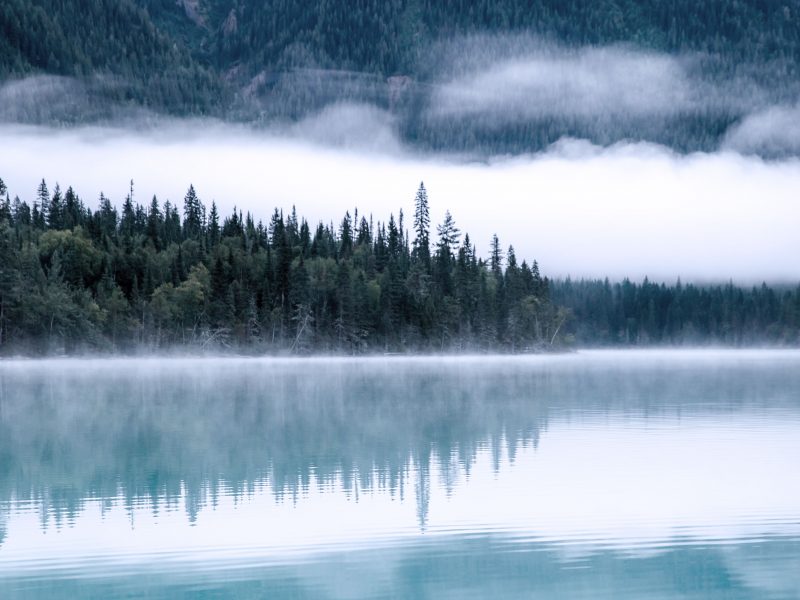 Salmon: Restaurant WordPress Theme