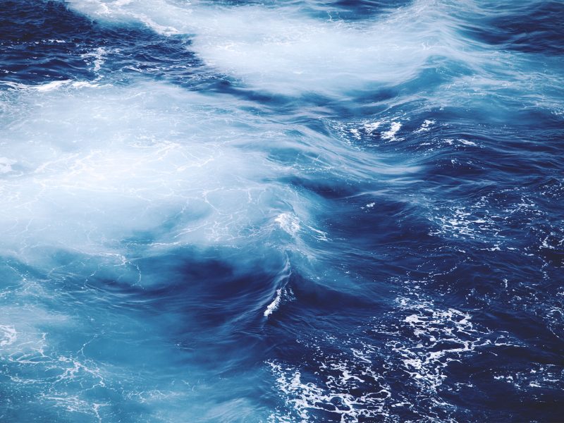 Seafood in Salmon Restaurant